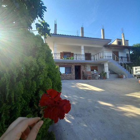 Vila Pasha Sarandë エクステリア 写真