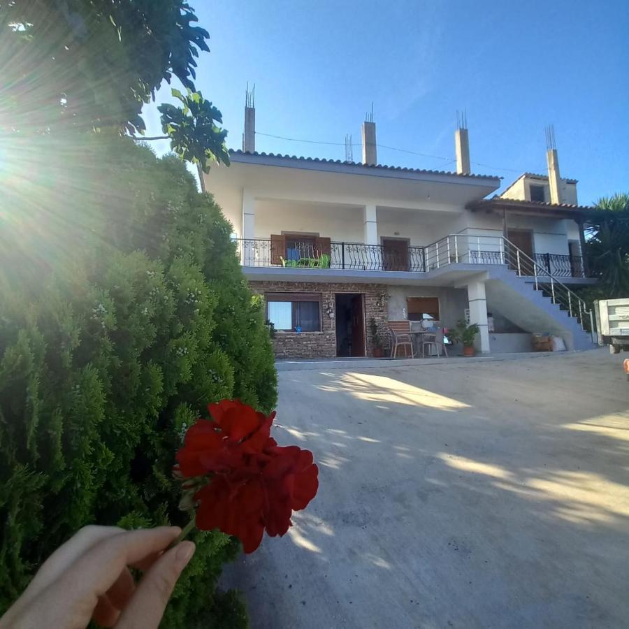 Vila Pasha Sarandë エクステリア 写真