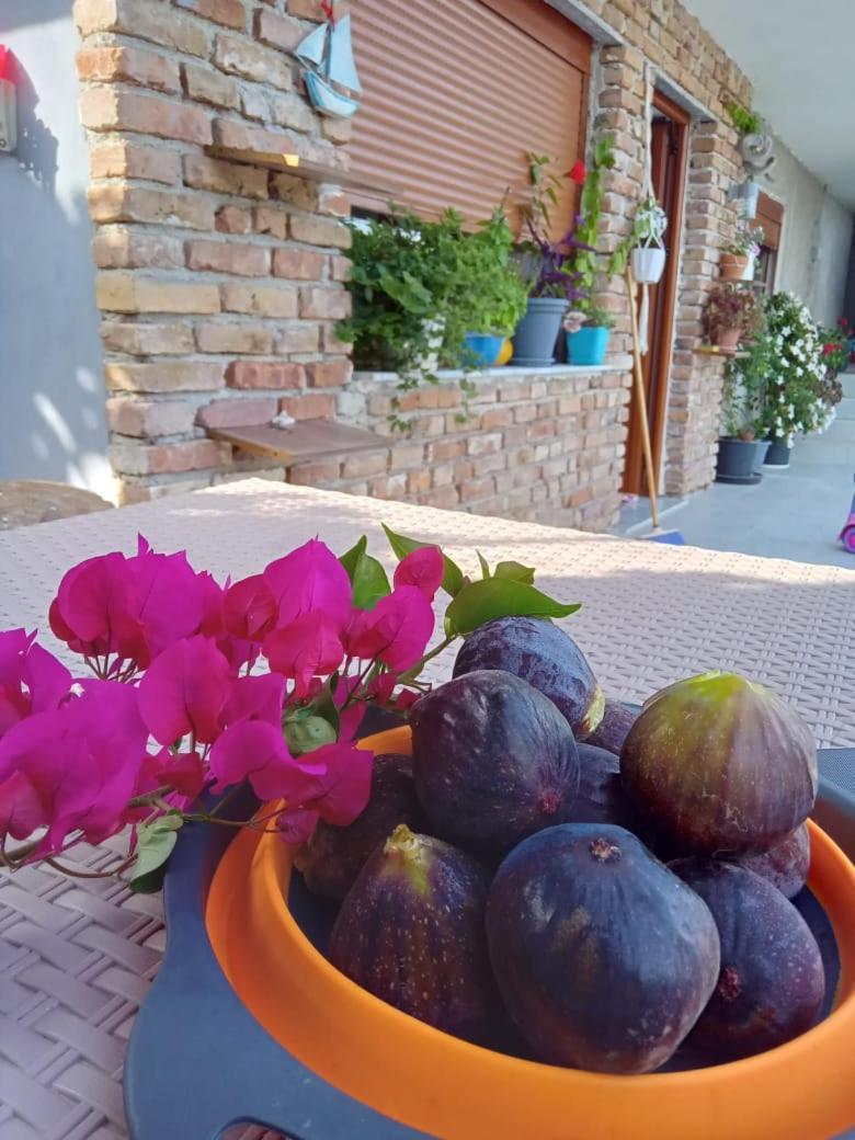 Vila Pasha Sarandë エクステリア 写真